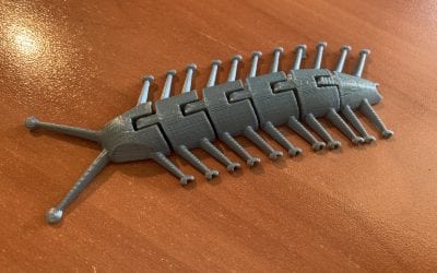 3D Centipede