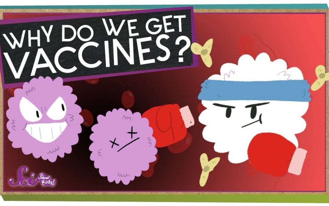 What is a Vaccine?